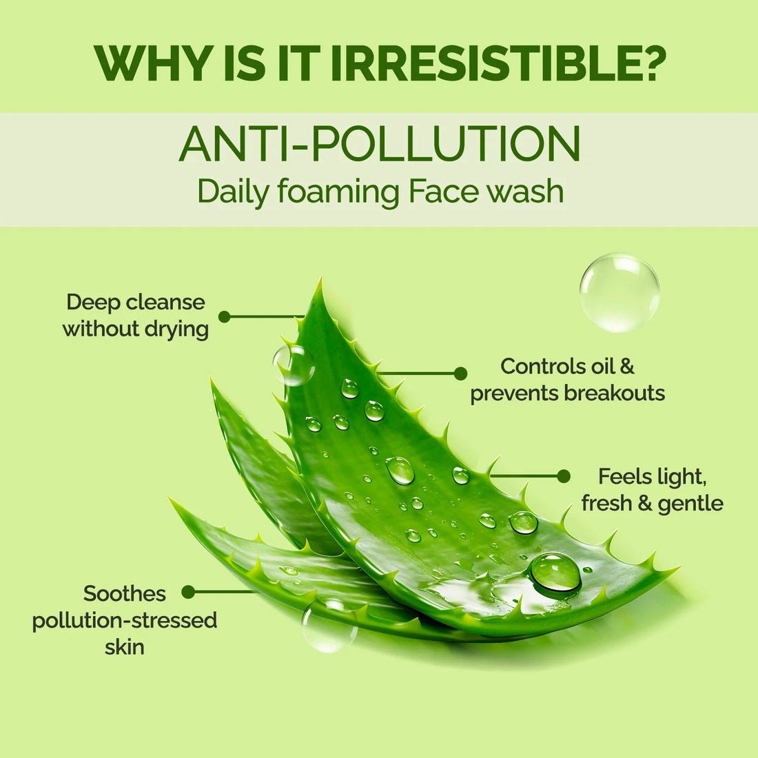 Anti-Pollution Foaming Face Wash